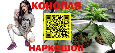 ALPHA PVP Гатчина