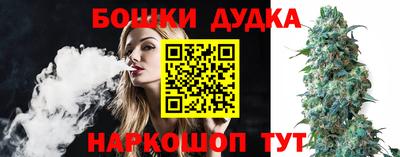 ALPHA PVP Гатчина