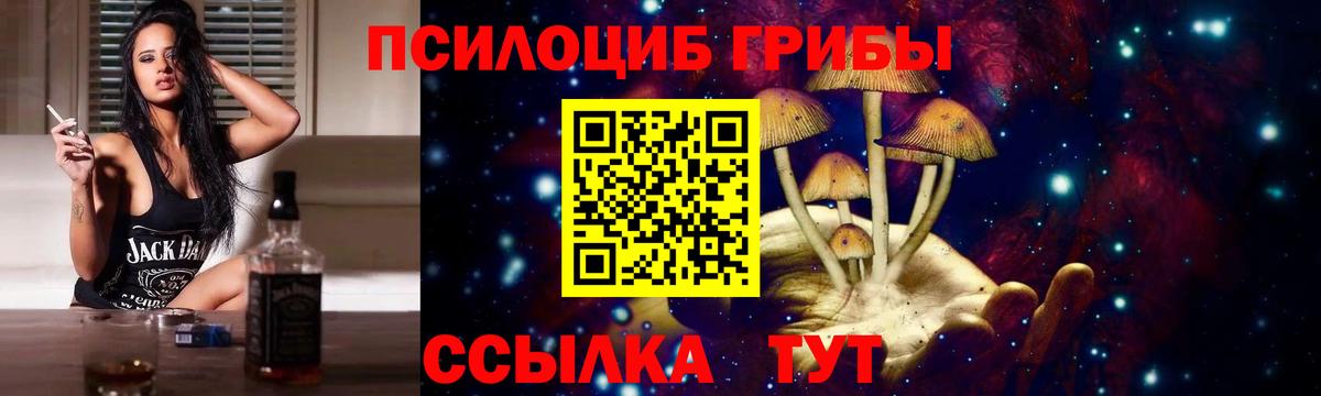 Галлюциногенные грибы Psilocybe Камышлов
