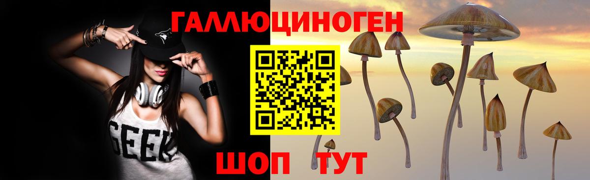 Камышлов  Псилоцибиновые грибы MAGIC MUSHROOMS  Вход с VPN  Галлюциногенные грибы Psilocybe 