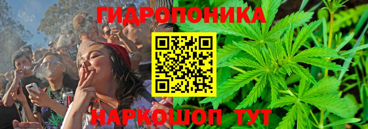 Камышлов  Канабис семена  Вход с VPN  МАРИХУАНА AK-47  МАРИХУАНА семена  Конопля семена 